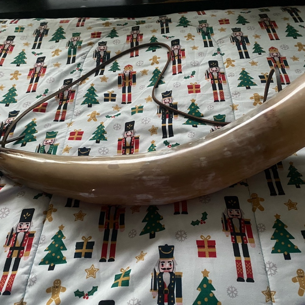 Viking War Horn